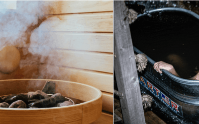 Ice Bath vs Sauna: Which Recovery Option Is Right for You?